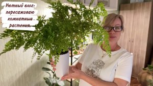 Уютный влог: пересаживаю комнатные растения.