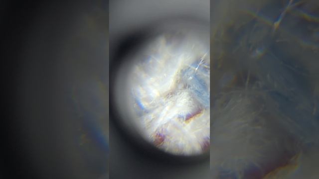 как выглядят вещи под микроскопом