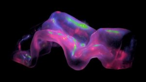 Фон для проектора медузы неон жидкость