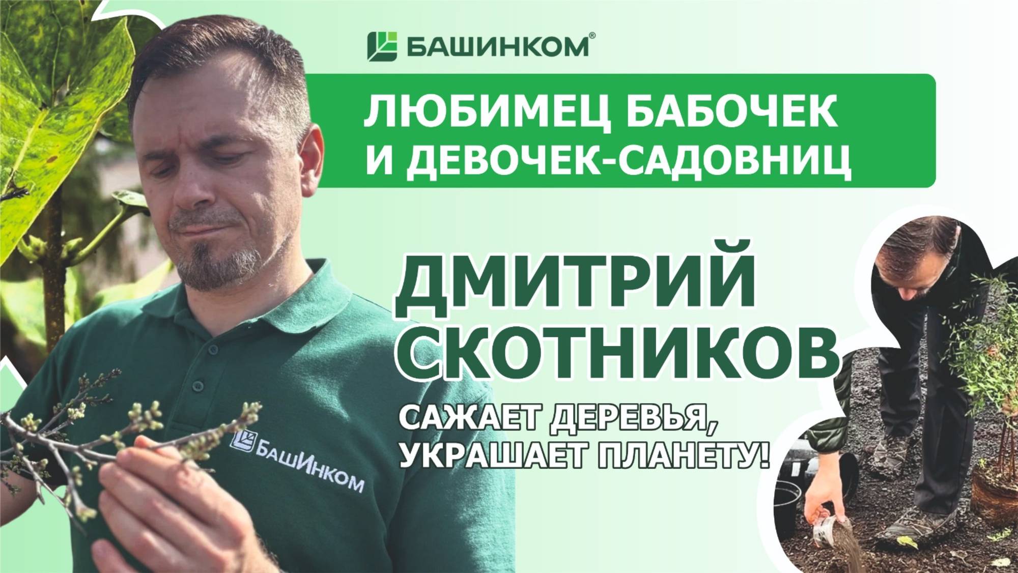 Деревья, высаженные с биопрепаратами, прекрасно приживаются. Смотри! смотреть онлайн