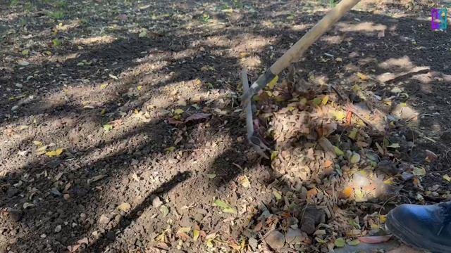 В Керчи продолжаются сезонные работы по уходу за зелёными насаждениями смотреть онлайн