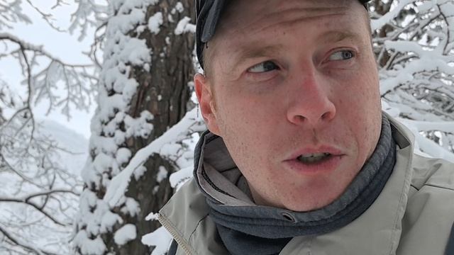 встреля в снежную брую с нло смотреть онлайн