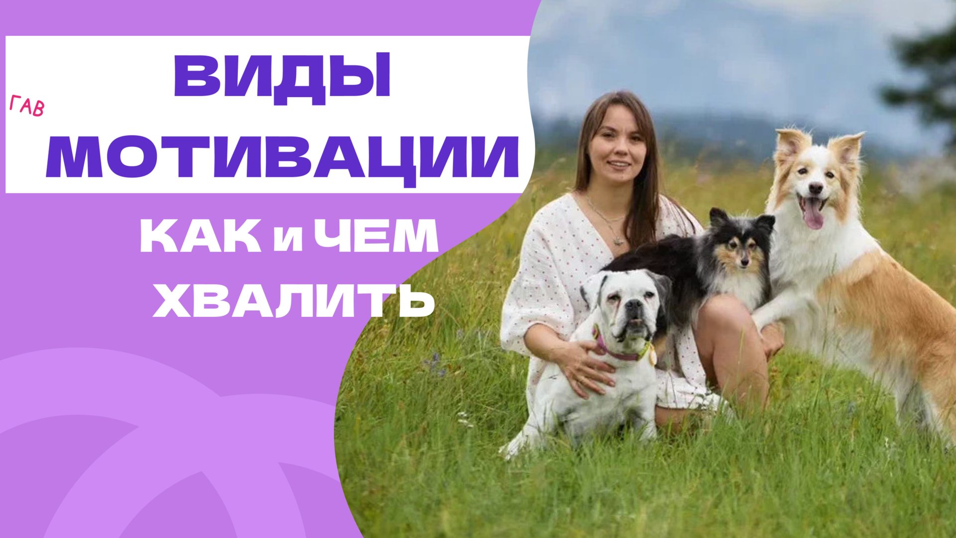 КАК ПРАВИЛЬНО ХВАЛИТЬ И УХОДИТЬ ОТ КУСКА. мотивация и ее виды