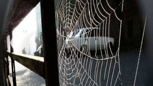 Пароль у входа