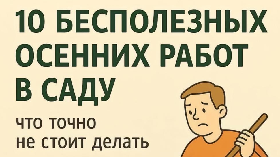 10 бесполезных осенних работ в саду.что точно не стоит делать на участке перед зимой смотреть онлайн