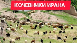 Parsa/жизнь кочевников/6 часть.