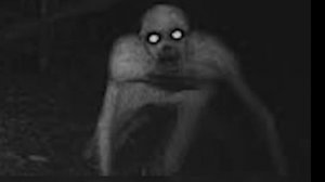 это ырка или что???