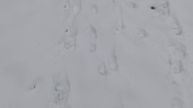 нло в горах адыгее смотреть онлайн