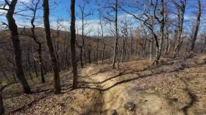 Мшистый когда по прогнозу дожди