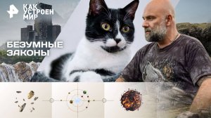 Безумные законы — Как устроен мир с Тимофеем Баженовым (29.10.2025)