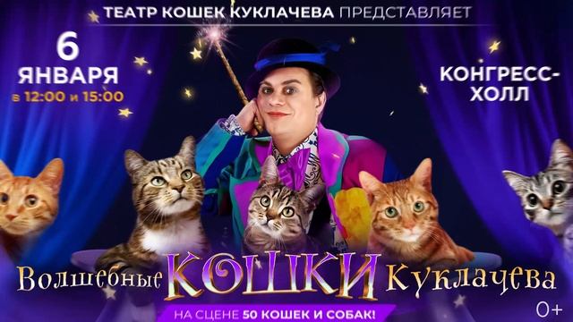 Волшебные кошки Куклачёва в Челябинске смотреть онлайн