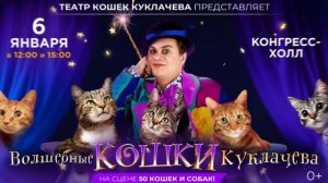 Волшебные кошки Куклачёва в Челябинске