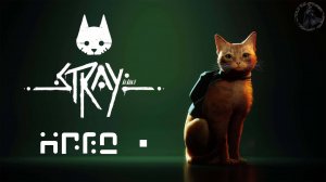 Stray. Потеряшка (часть 1)