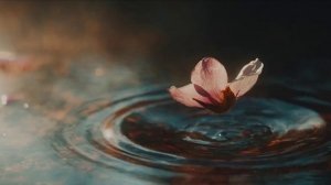 Не исчезай✨