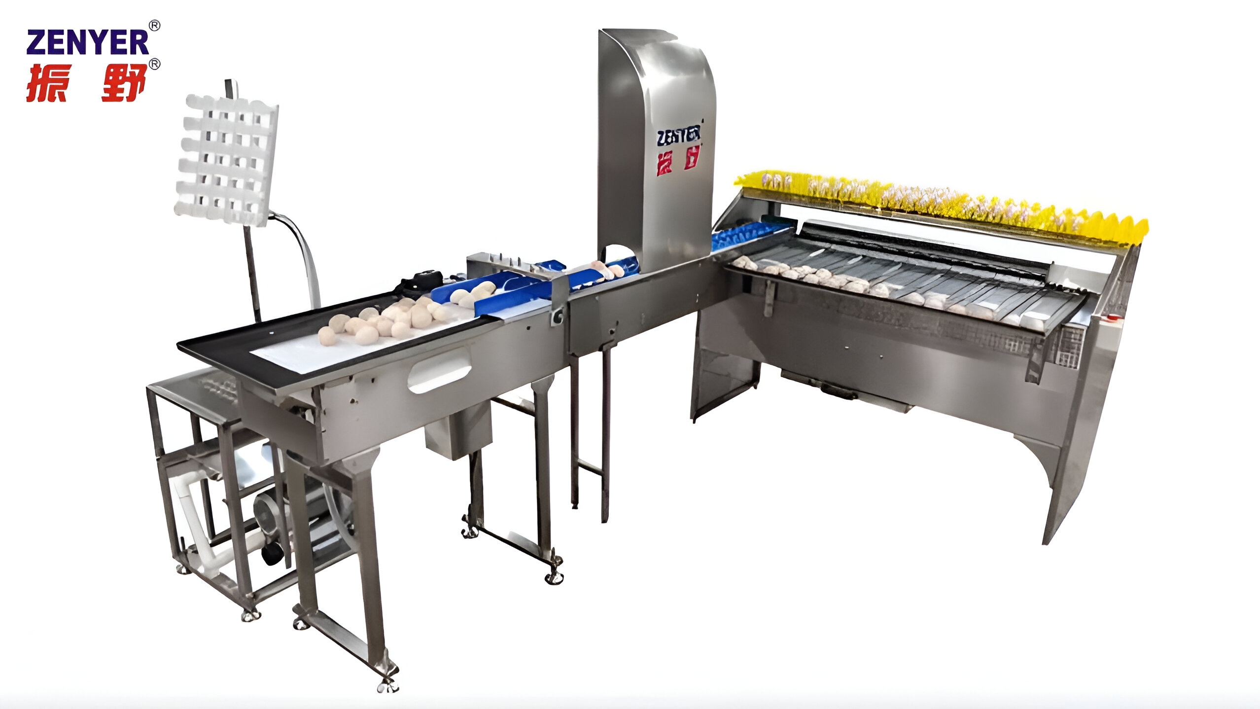 Zenyer NEW 101BS Egg Grader Egg Grading Machine 4000 Eggs/hour