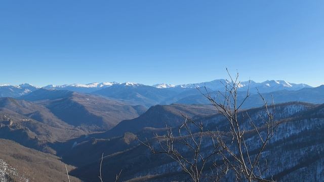 спасите я уже не могу смотреть онлайн