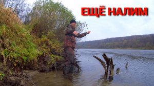 ДУМАЛ ЗВЕРЬ УТАЩИЛ ДОНКУ. Ловлю НАЛИМА на ЖИВЦА ночью. Рыбалка на ОКЕ осенью.