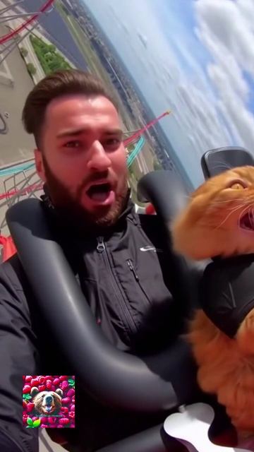 В этом видео никто не пострадал смотреть онлайн