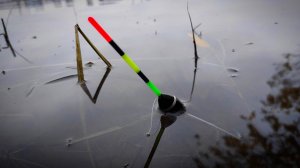 НАЛОВИЛ ПРОСТО ЖЕСТЬ! Поздняя осень выдала ЖОР на поплавок! Рыбалка 2025