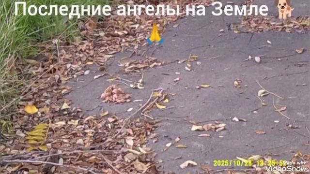 Мариуполь ⛵ сегодня 🏗️🏢🏗️🏗️🏢🏢 в реальном времени. смотреть онлайн