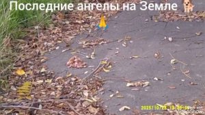 Мариуполь ⛵ сегодня 🏗️🏢🏗️🏗️🏢🏢 в реальном времени.