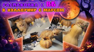 Как подготовиться к Хэллоуину ?