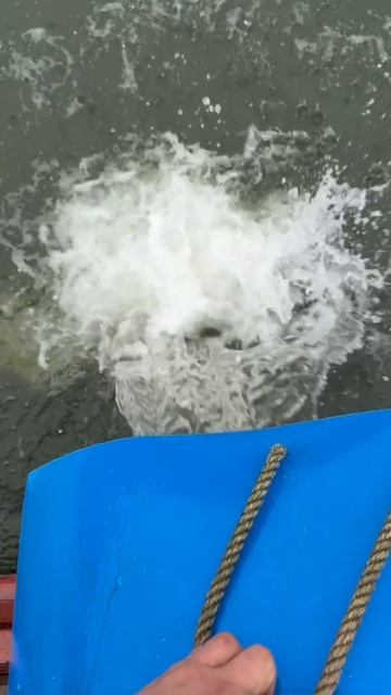 Запуск форели 65кг смотреть онлайн