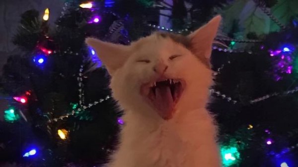 BEST PHONK MIX | ATMOSPHERIC PHONK PLAYLIST | CHILL PHONK | NIGHT DRIVE MUSIC | PHONK 2024