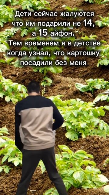 Какой хороший день смотреть онлайн