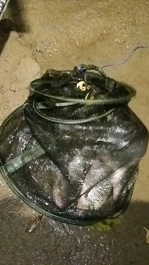 ФИДЕР РЫБАЛКА ПОЗДНЕЙ ОСЕНЬЮ смотреть онлайн