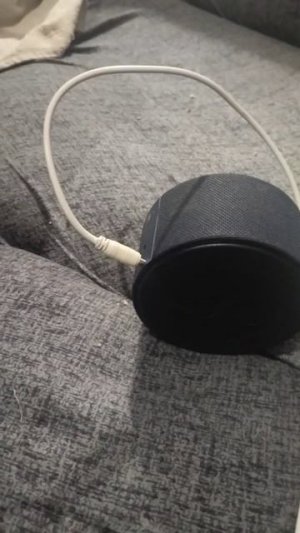 алиса как на англиском будит ш😂😂😂😂😂