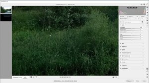 9_Почему высокое Исо это не высокий шум