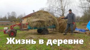 Временная прибавка в хозяйстве, "другое" сено, работа нового коровника и деревенские будни!
