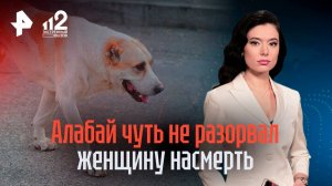 Огромный алабай разорвал лицо жительнице Ростова-на-Дону