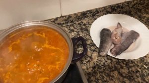 Жизнь Наташи и ее семьи в Испании.