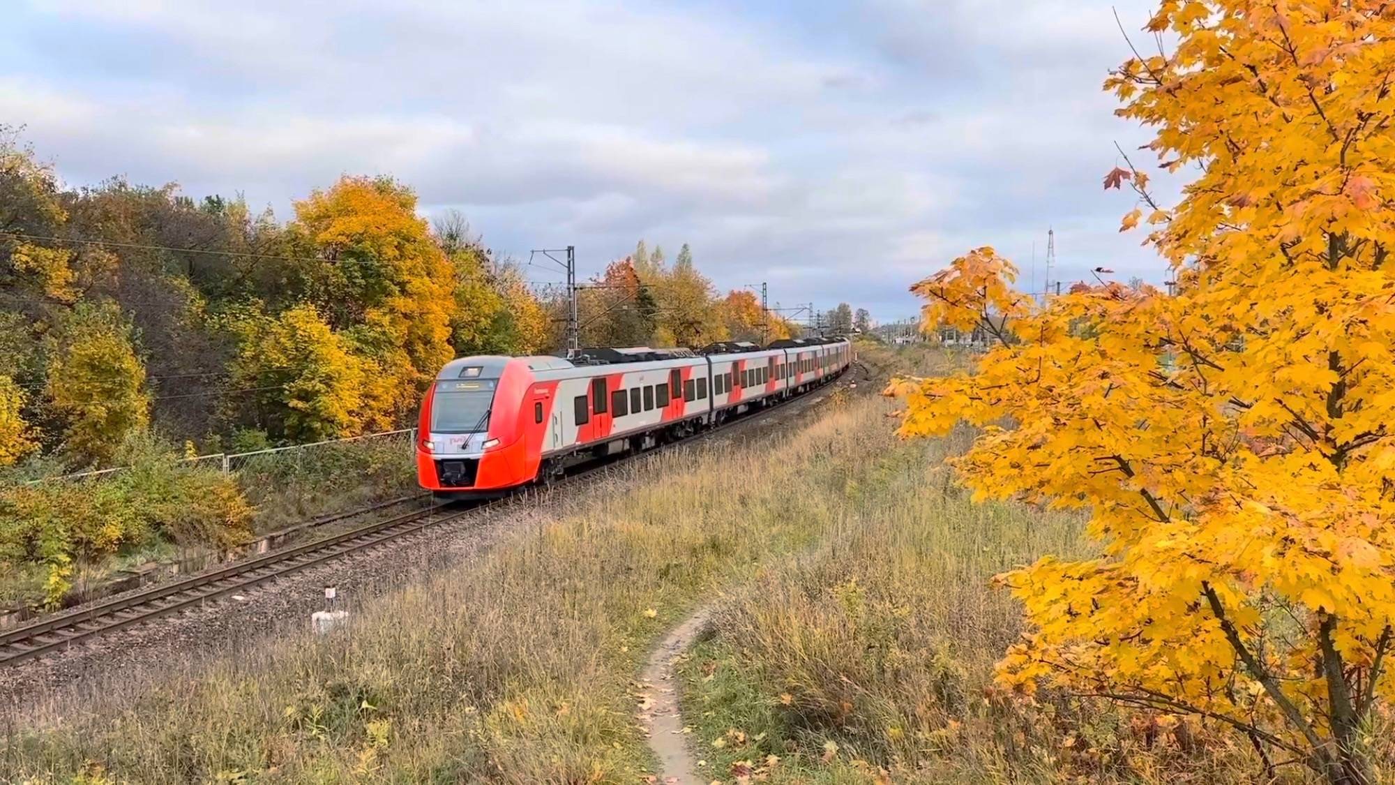«Золотой осенью!» Электропоезд «Ласточка» ЭС2Г-023/018 на перегоне, октябрь 2025 года смотреть онлайн