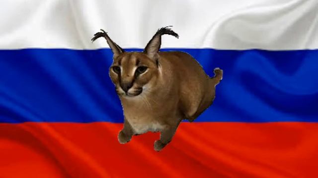 польская корова ремих polskey cow remix смотреть онлайн