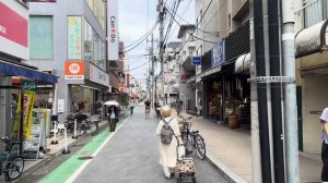 Япония. Прогулка по району Йога в Сэтагая в Токио