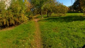 велопокатушка по бездорожью