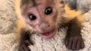 МИЛОТЫ много не бывает! Финик окреп и посмотрите как он ЗАЩИЩАЕТ сон своей подружки Анфисы!!!