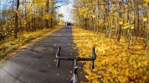 Золотая осень / Ловлю момент на Jamis ventura A2