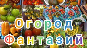 Ожидание/реальность))) Томаты и перцы