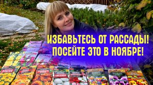 ИЗБАВЬТЕСЬ ОТ РАССАДЫ! Посейте ЭТИ ЦВЕТЫ ПОД ЗИМУ и весной СКАЖЕТЕ СПАСИБО!