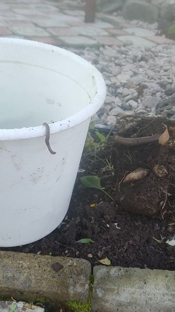 Дорогу осилит идущий