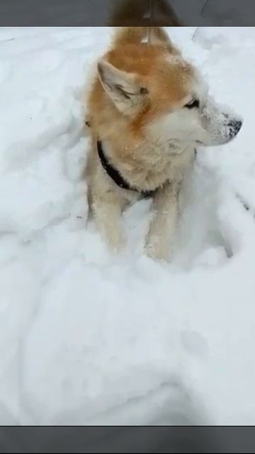 А может ещё погуляем?🙂 смотреть онлайн