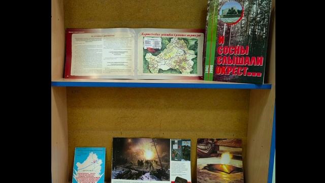 Видеопрезентация выставки Детской библиотеки № 3 смотреть онлайн