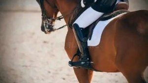 Песня №6 Владимир Гончаров. Нашей жизни колесо .mp4