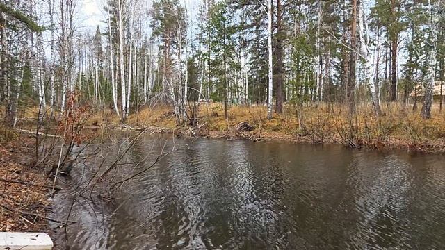 Продаётся земельный участок в направлении Ново-Московский тракт, территория Урочище Шумиха смотреть онлайн