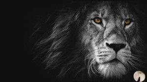 Самый красивый нашид 8 🟢