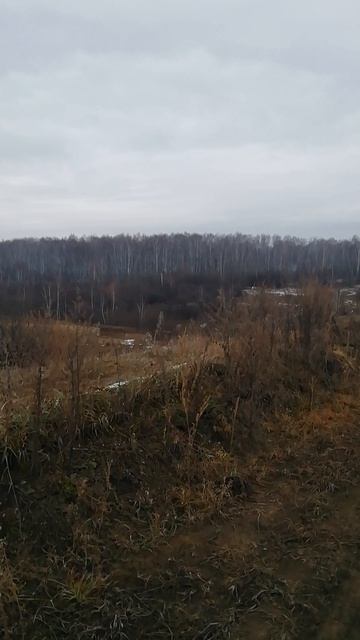 Кто хозяин, позвони, срочно!!!